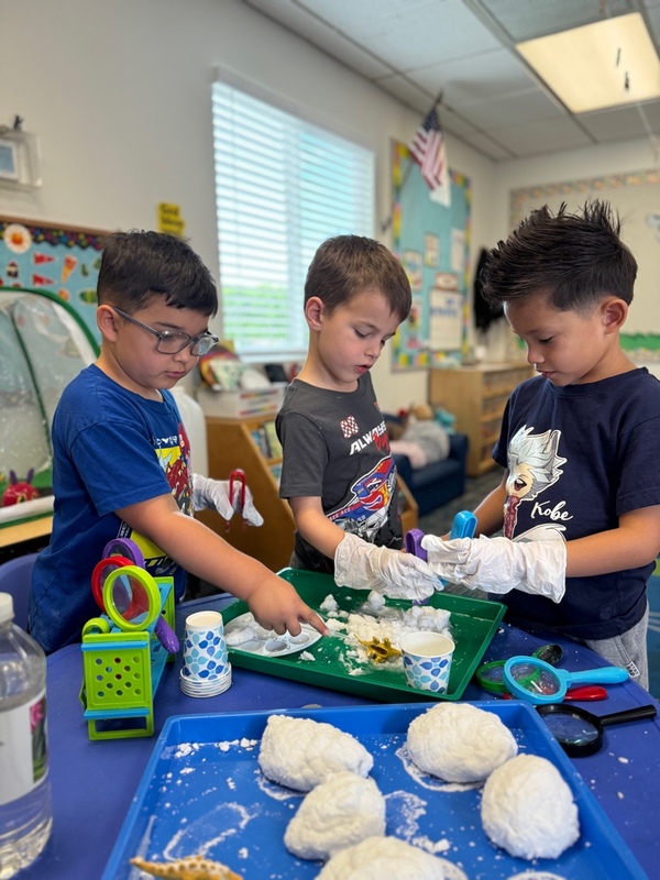 Dinosaur learning activity